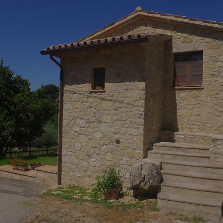 Willa Borgo Buciardella Baschi Zewnętrze zdjęcie