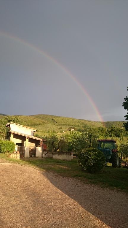Willa Borgo Buciardella Baschi Zewnętrze zdjęcie