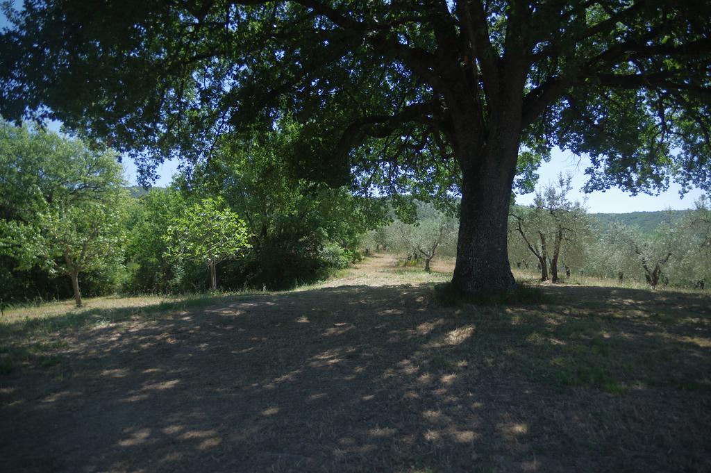 Willa Borgo Buciardella Baschi Zewnętrze zdjęcie