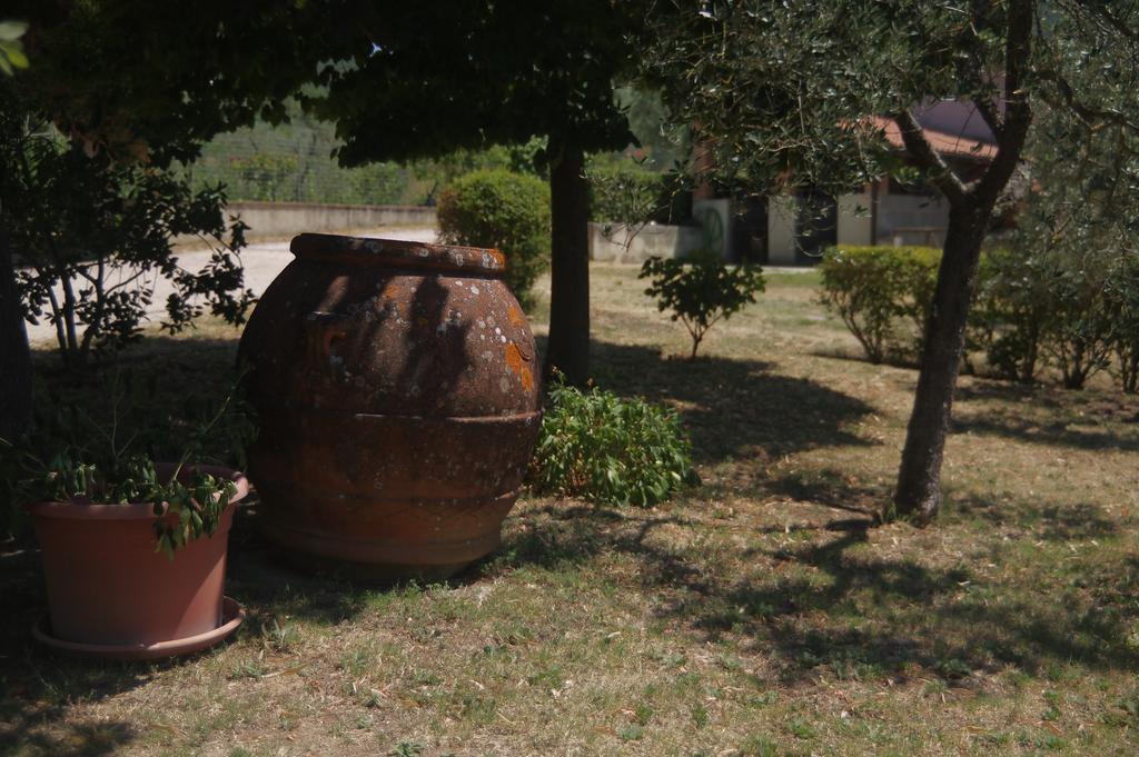 Willa Borgo Buciardella Baschi Zewnętrze zdjęcie